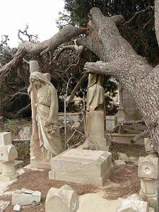 ORAN 2009 THAMASHOUET  statue epargnee 